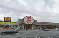 周辺環境:ベルク川口前川店徒歩１２分