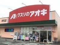 周辺環境:クスリのアオキ　徒歩13分